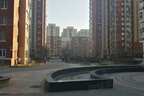 金鼎阳光苑深度测评 优点、不足与周边经纪人评价