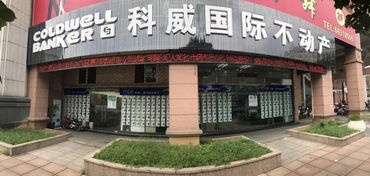 从服装代理到房产中介 一位老板的转型告诉我们，认真踏实是成功的最好地基